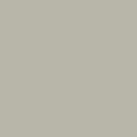 Neutral Grey 169-046